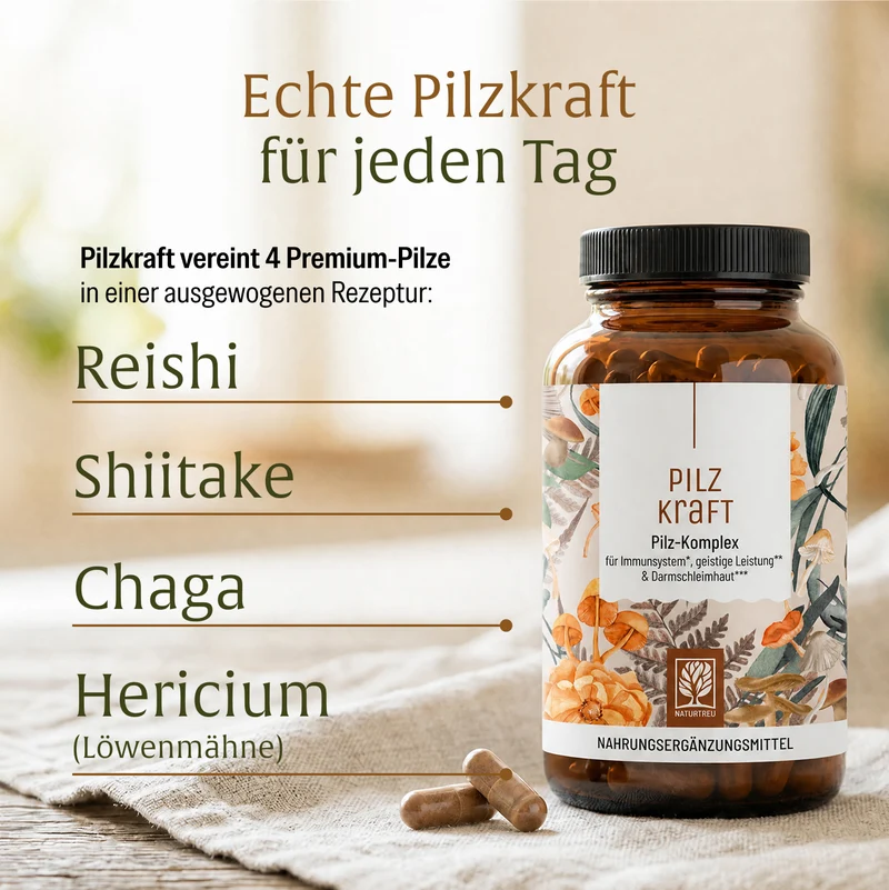 Pilzkraft: Reishi, Shiitake, Chaga & Löwenmähne