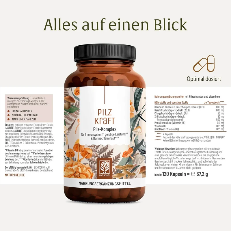 Pilzkraft: Reishi, Shiitake, Chaga & Löwenmähne