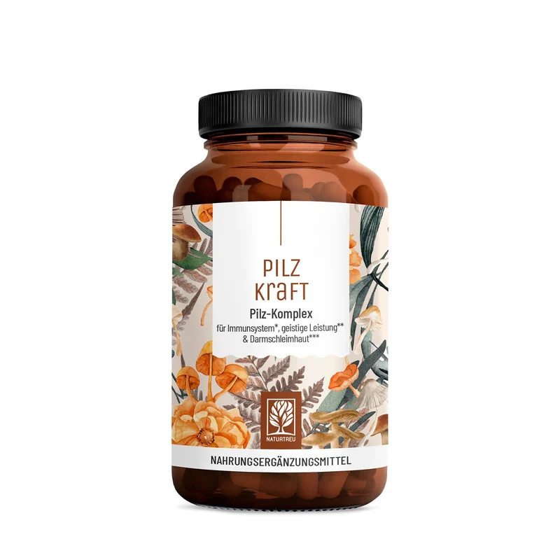Pilzkraft: Reishi, Shiitake, Chaga & Löwenmähne