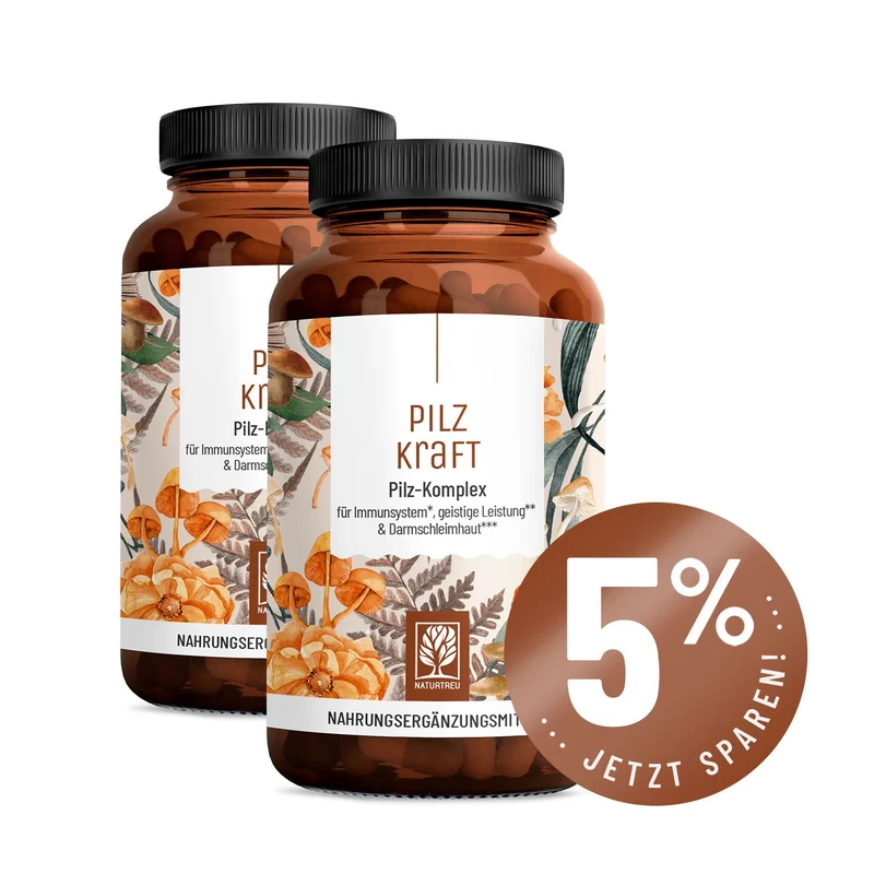 Pilzkraft: Reishi, Shiitake, Chaga & Löwenmähne