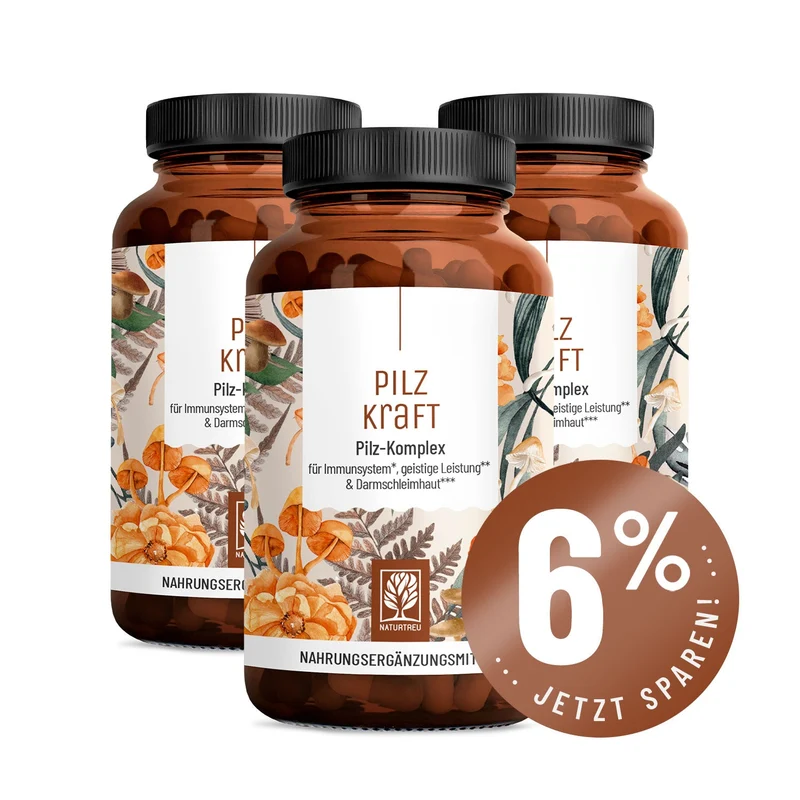Pilzkraft: Reishi, Shiitake, Chaga & Löwenmähne