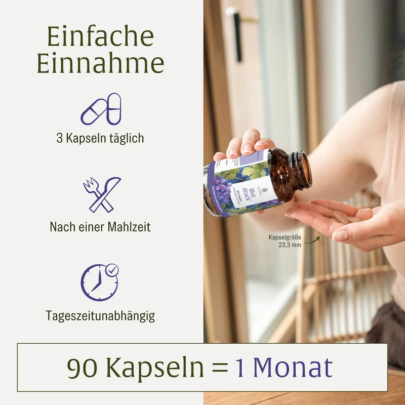 Blutdruck: OPC-Komplex mit Q10, Kalium und Knoblauch