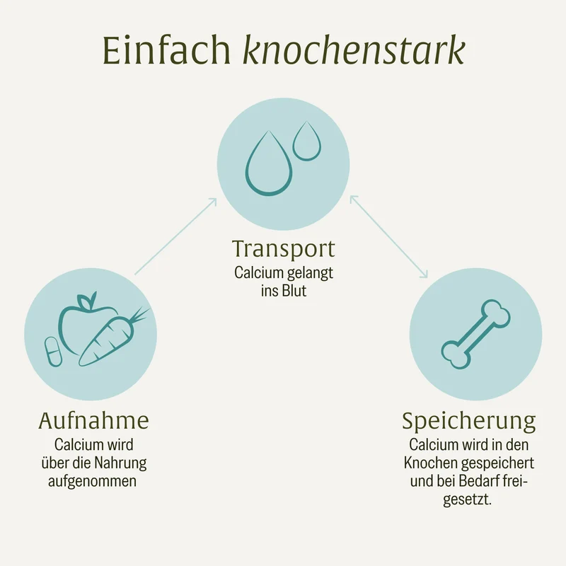 Knochenstark: Calcium Kapseln mit Vitamin C
