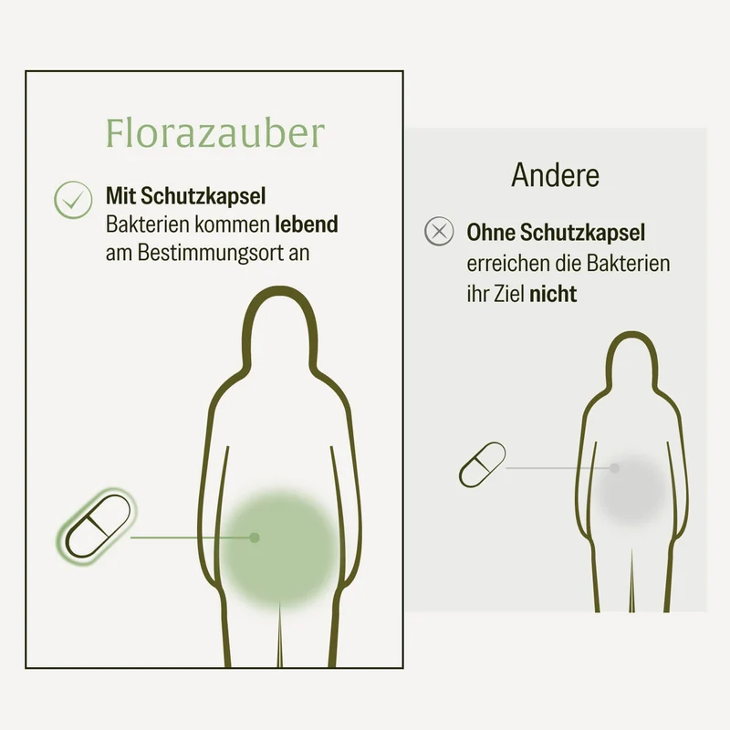 Florazauber: Kulturen-Komplex für den Darm*