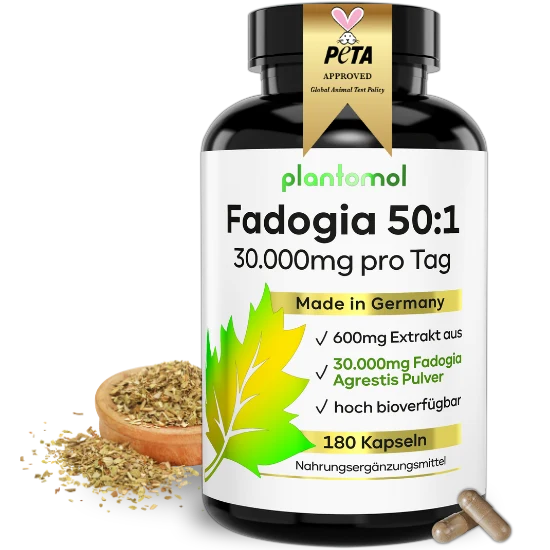 Fadogia Agrestis - 50:1 Extrakt mit Koffein