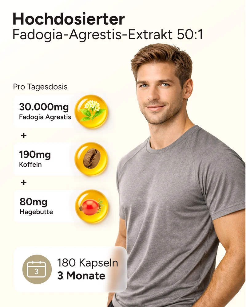 Fadogia Agrestis - 50:1 Extrakt mit Koffein
