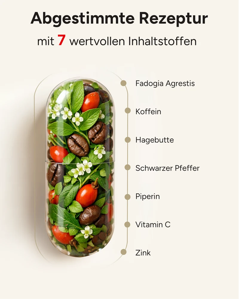 Fadogia Agrestis - 50:1 Extrakt mit Koffein