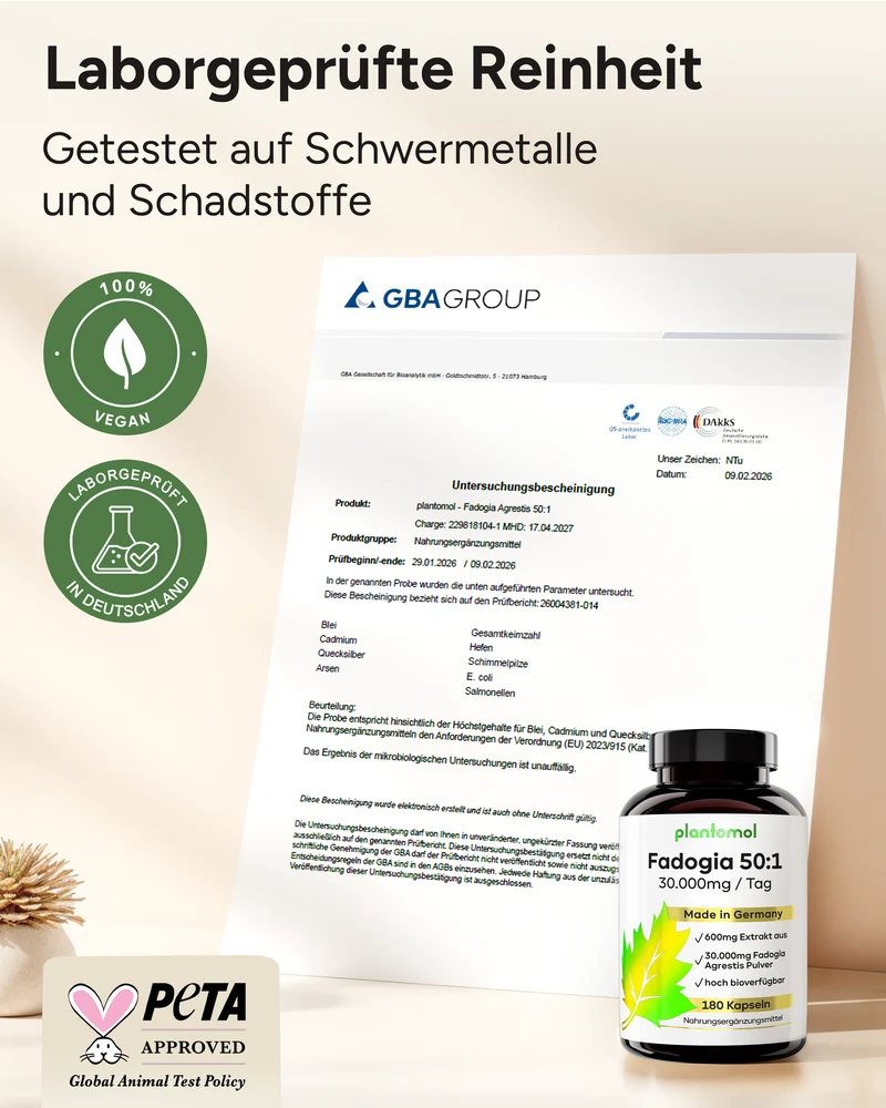 Fadogia Agrestis - 50:1 Extrakt mit Koffein
