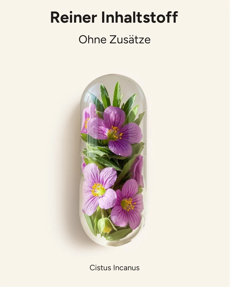 Cistus Incanus - 1.000mg pro Tag