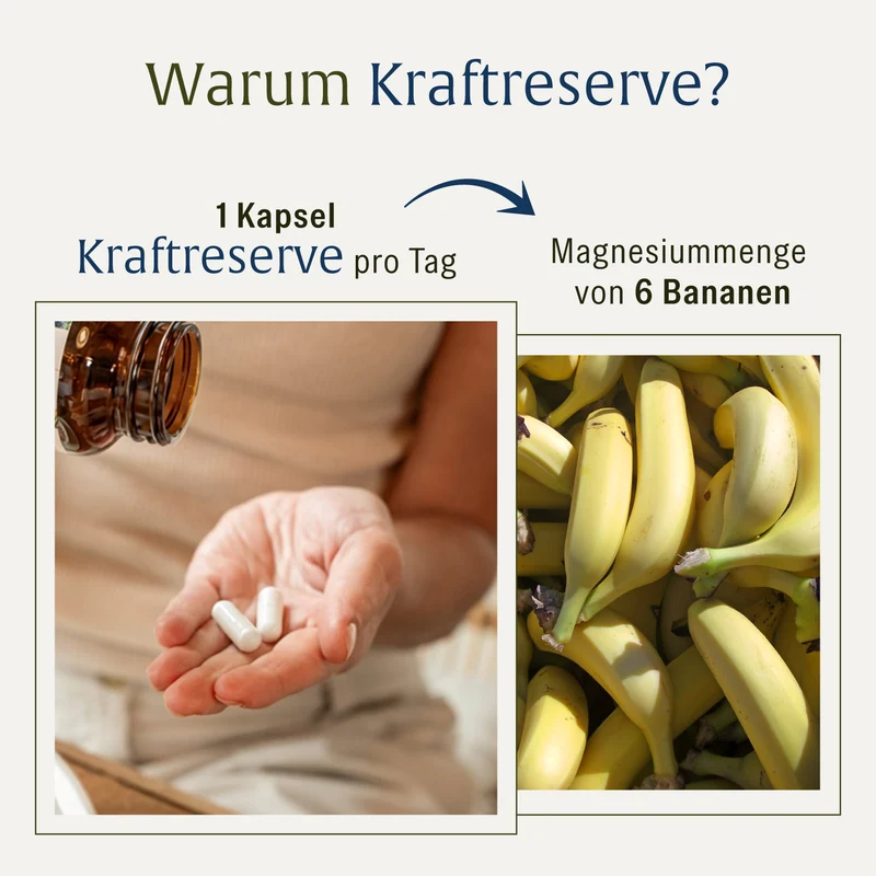 Kraftreserve: Magnesium-Komplex hochdosiert