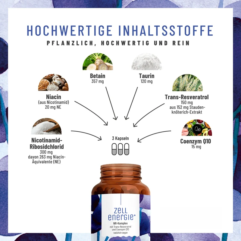 Zellenergie: NR-Komplex mit Trans-Resveratrol und Coenzym Q10