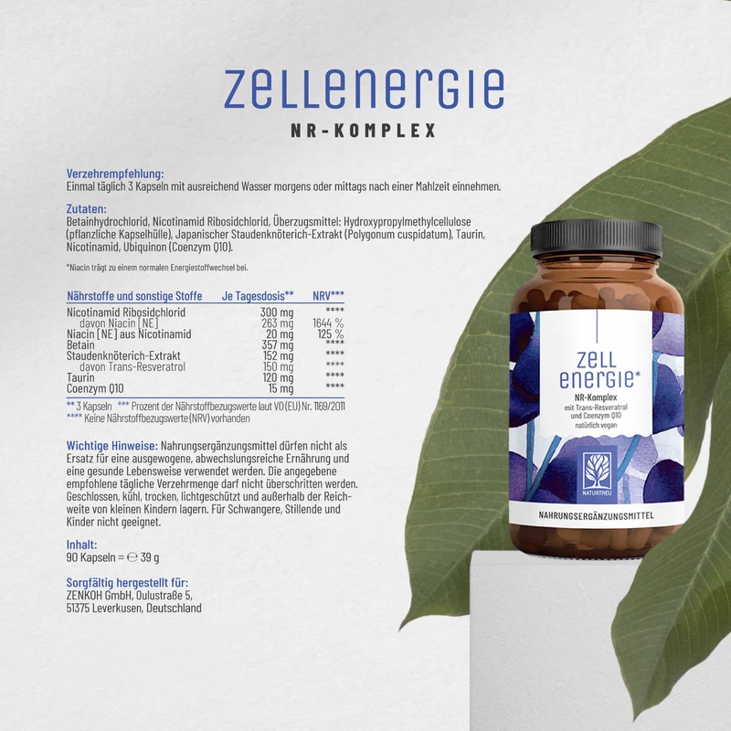 Zellenergie: NR-Komplex mit Trans-Resveratrol und Coenzym Q10