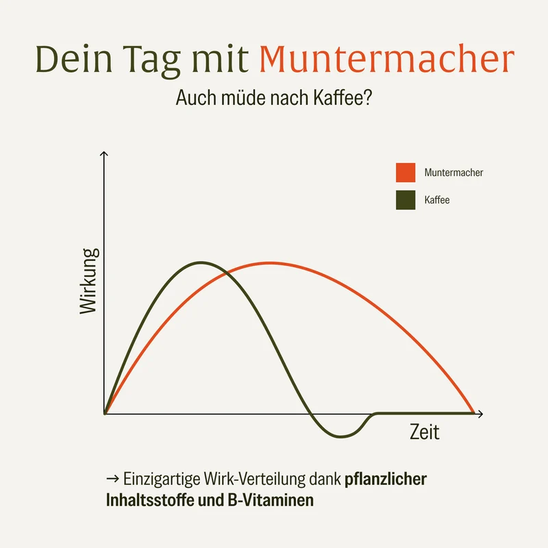 Muntermacher: Koffein-Komplex mit Guarana & Mate