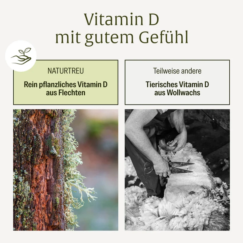 Vitamin D3 & K2 Tropfen Depot für Erwachsene (20.000 I.E.) - Sonnenelixier