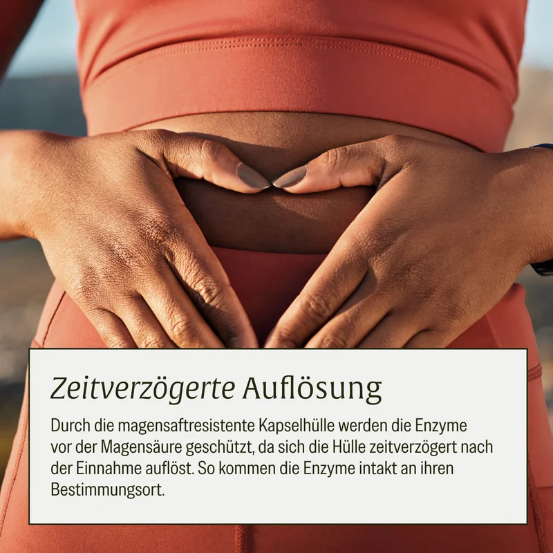 Wohlenzym - Enzym-Komplex mit Bromelain & Papain