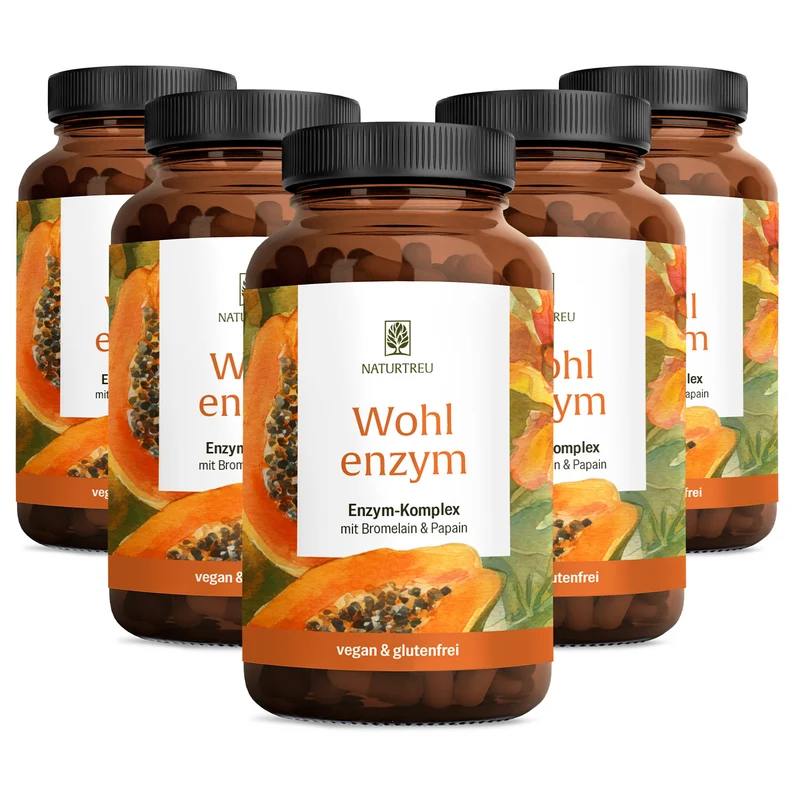 Wohlenzym - Enzym-Komplex mit Bromelain & Papain
