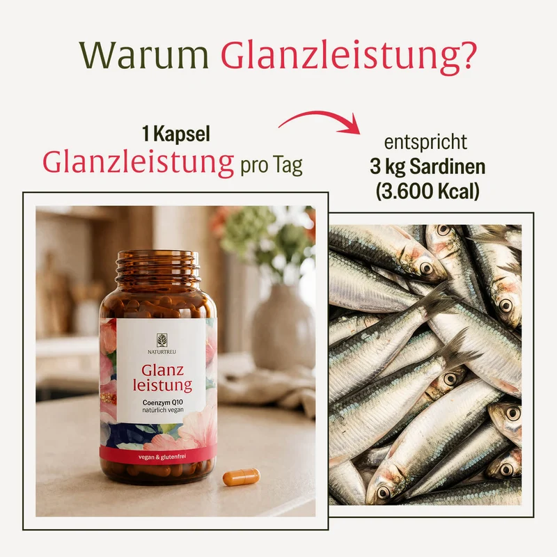 Glanzleistung: Coenzym Q10