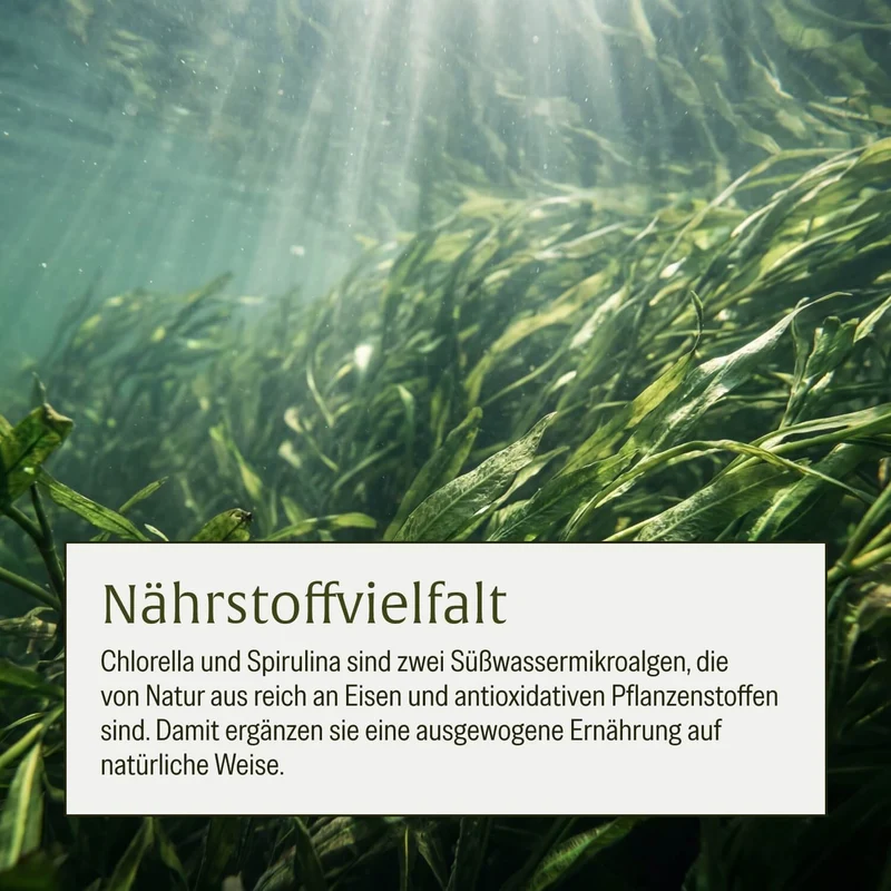 Algenduo: Bio-Chlorella und Bio-Spirulina