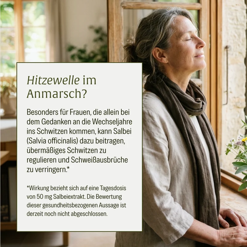 Salbeibrise: Hochdosierte Salbei Kapseln