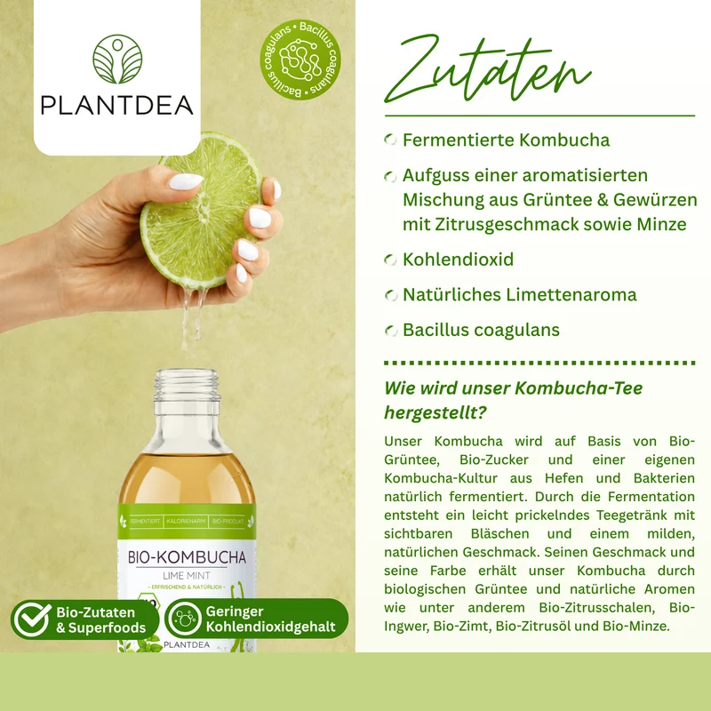 Bio Kombucha Lime Mint