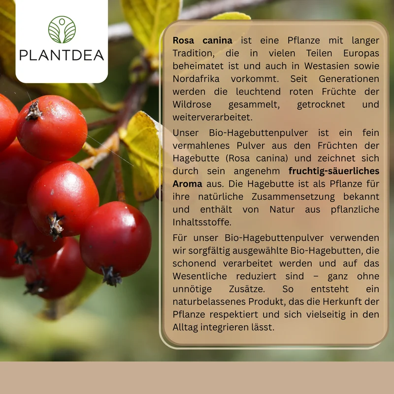 Bio Hagebuttepulver