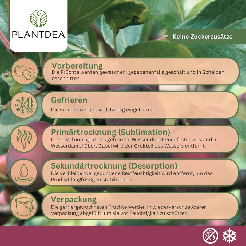 Gefriergetrocknete Pflaumen