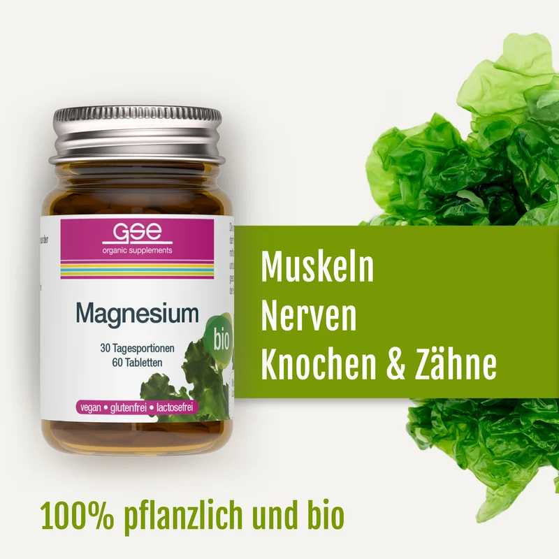 Magnésium Compact (bio)