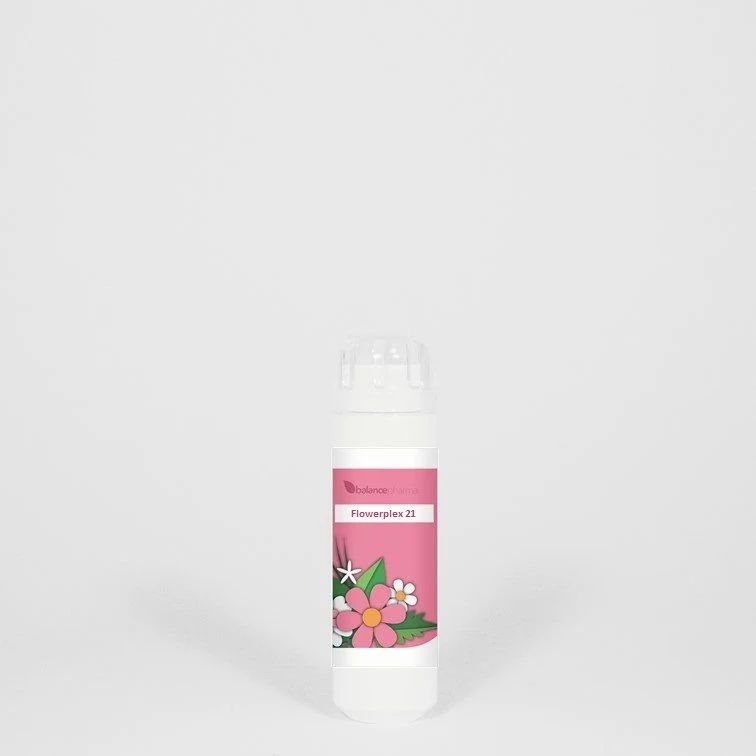 Balance Pharma Flowerplex 021 Harmonie 6 gram