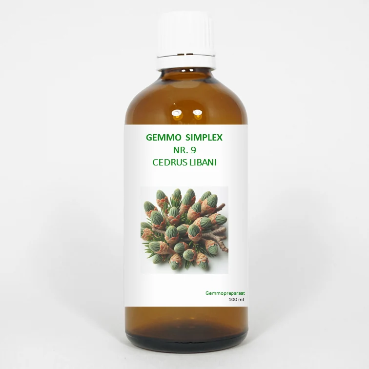 Balance Pharma Gemmo simplex 9 cedrus libani 100 vcaps