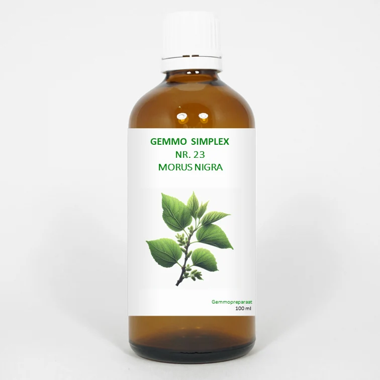 Balance Pharma Gemmo simplex 23 morus nigra 100 ml