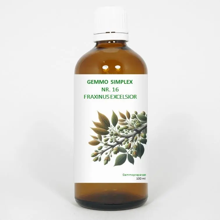 Balance Pharma Gemmo simplex 16 fraxinus excelsior 100 ml
