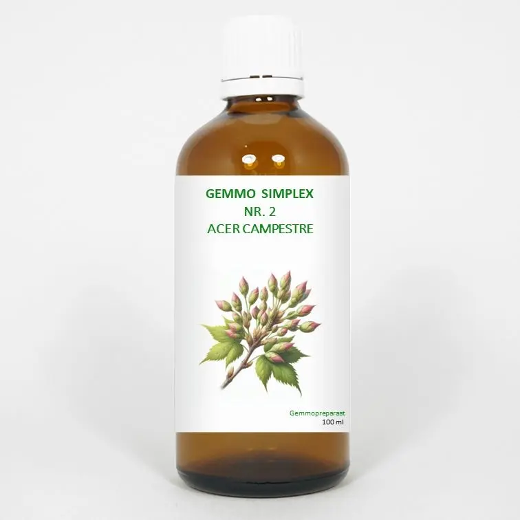 Balance Pharma Gemmo simplex 2 acer campestre 100 ml