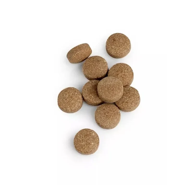 Biotics Cytozyme-Orchic 100 tabletten