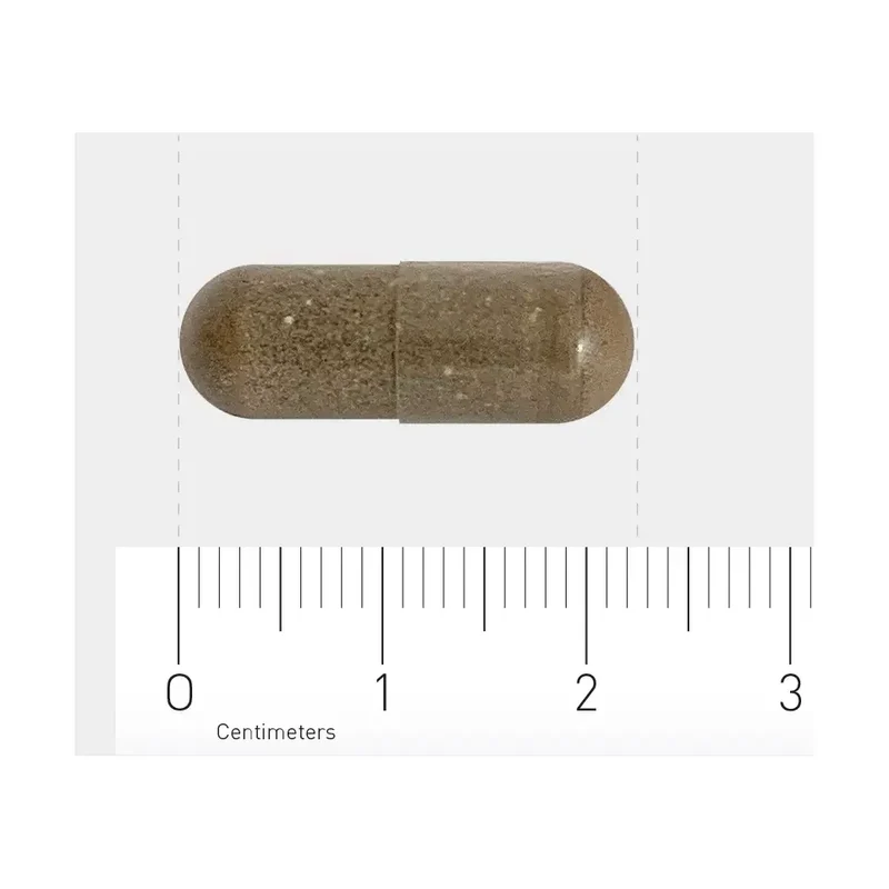 Orthica Slaap Support 60 vcaps