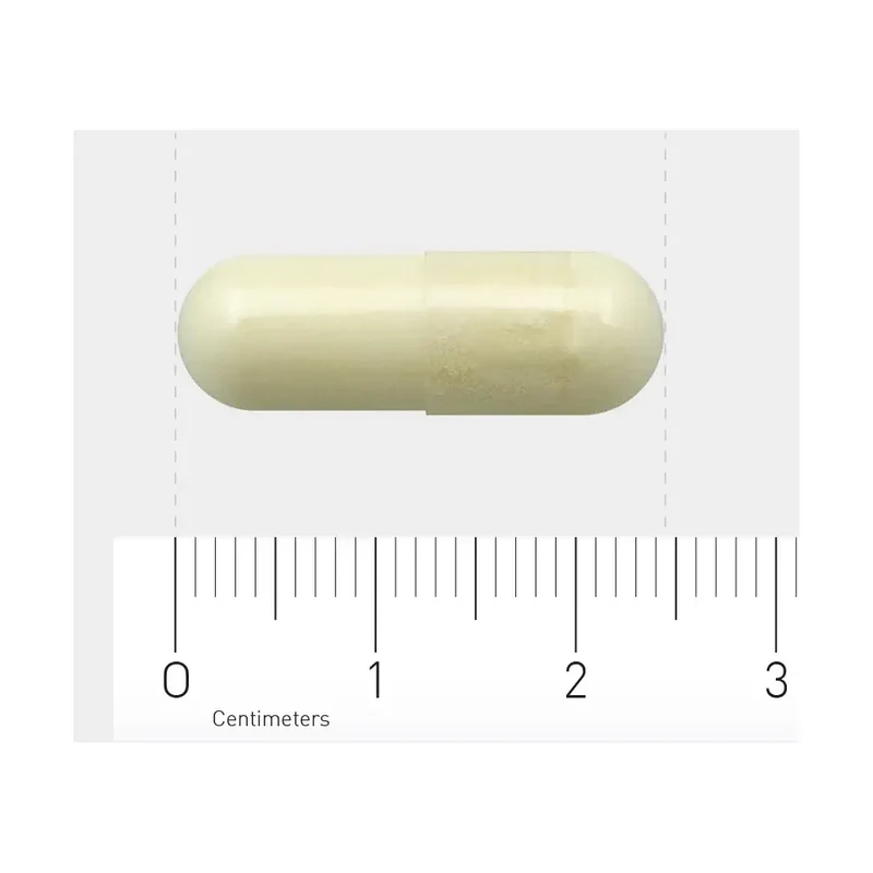 AOV 515 Magnesium AC 120 vcaps