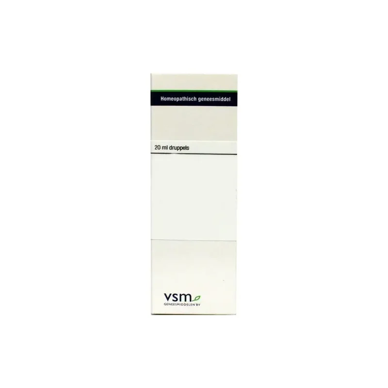VSM Equisetum hyemale D6 20 ml druppels