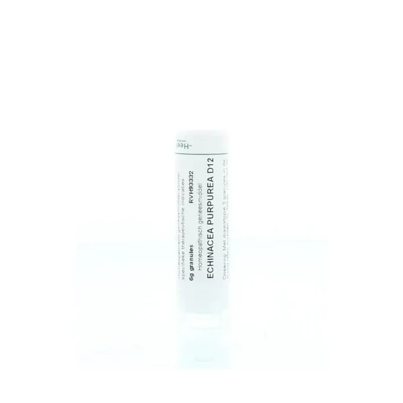 Homeoden Heel Echinacea purpurea D12 6 gram granules