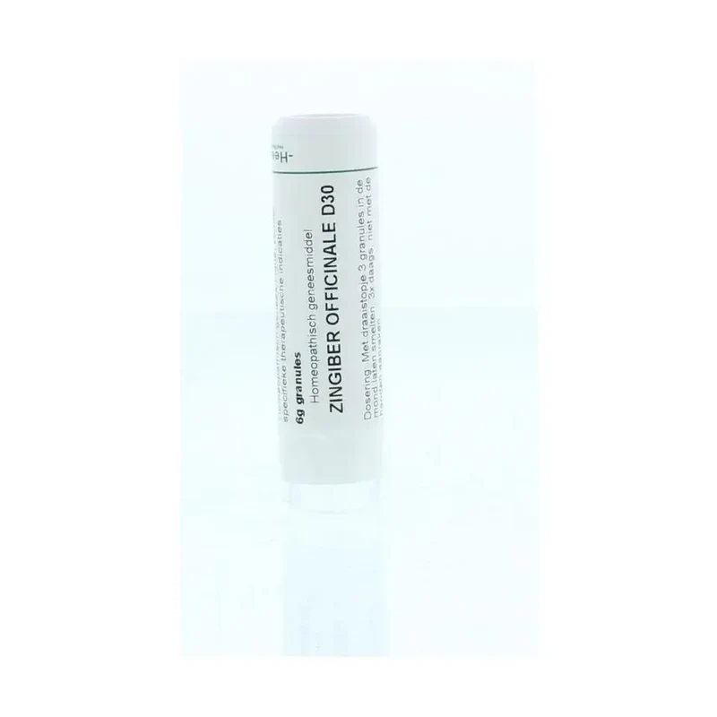 Homeoden Heel Zingiber officinalis D30 6 gram granules