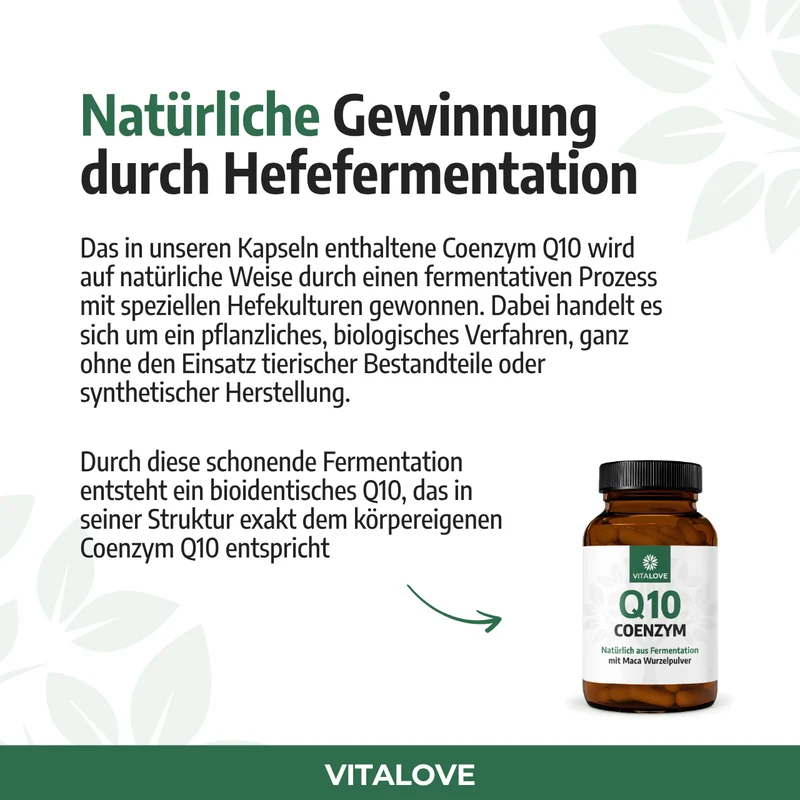 Coenzym Q10 Kapseln mit Maca – 90 Stück