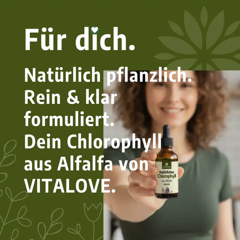 Chlorophyll Tropfen (natürlich aus Alfalfa) – 50 ml
