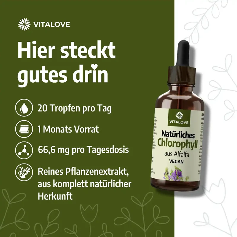 Chlorophyll Tropfen (natürlich aus Alfalfa) – 50 ml