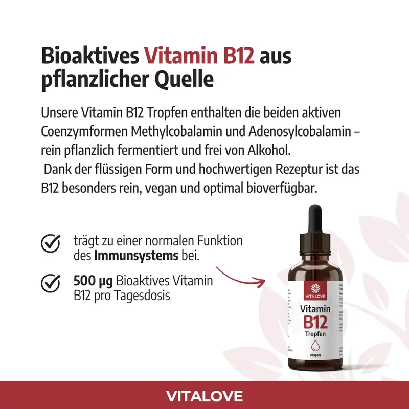Vitamin B12 Tropfen bioaktiv und alkoholfrei – 50 ml