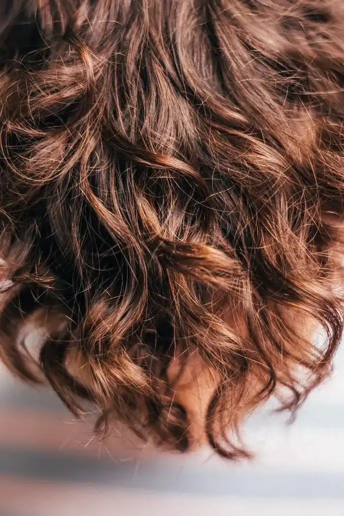 Festes Shampoo "repair" für trockenes, lockiges & strapaziertes Haar 40g handgemacht! Low-POO (vegan)