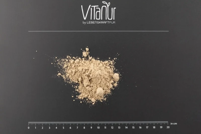 Bio Protein Vegan Plus Pulver