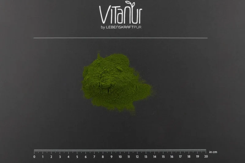 Bio Grüner Saft Pulver