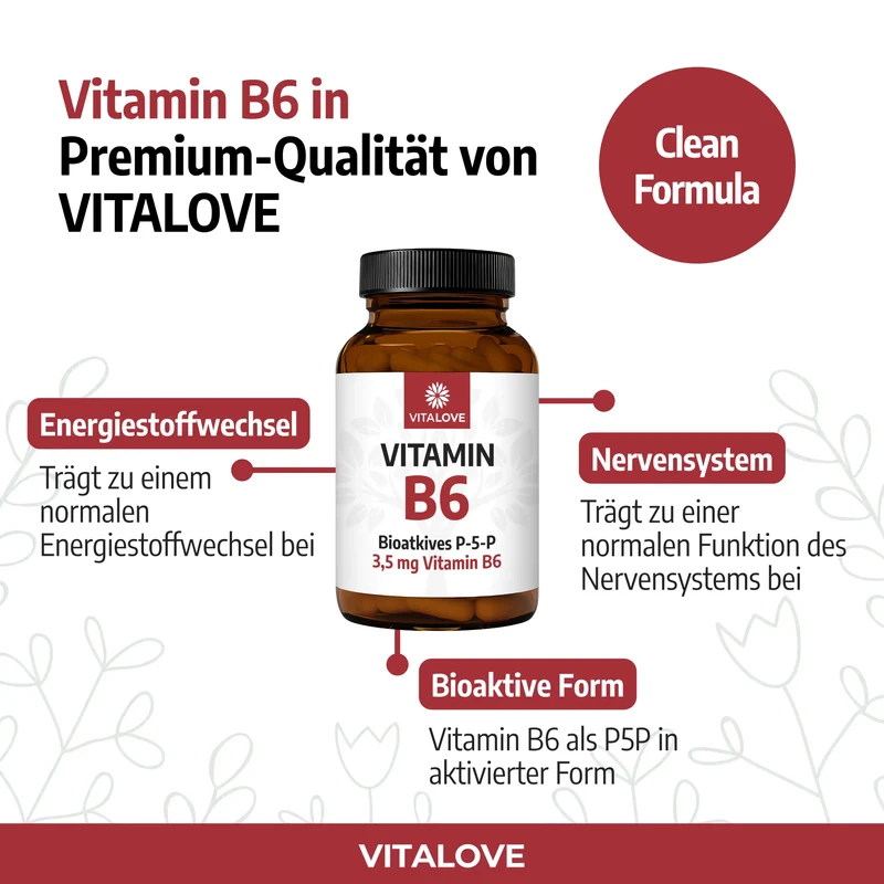 Vitamin B6 Kapseln (P-5-P bioaktiv) – 120 Kapseln