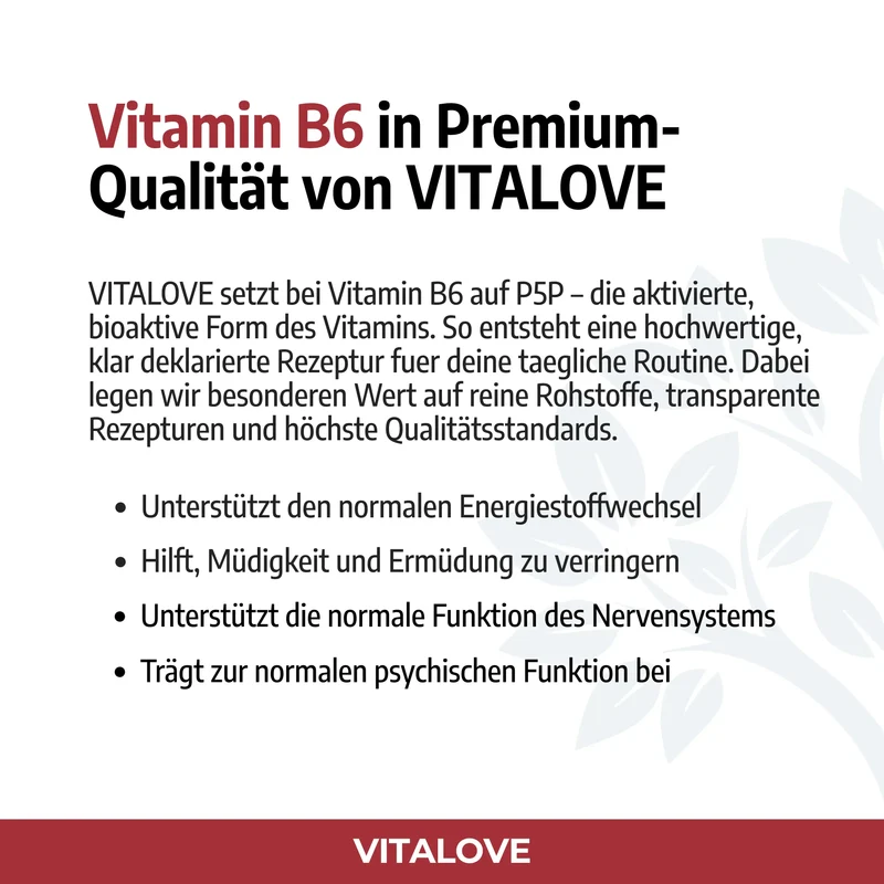 Vitamin B6 Kapseln (P-5-P bioaktiv) – 120 Kapseln