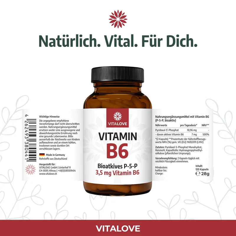 Vitamin B6 Kapseln (P-5-P bioaktiv) – 120 Kapseln