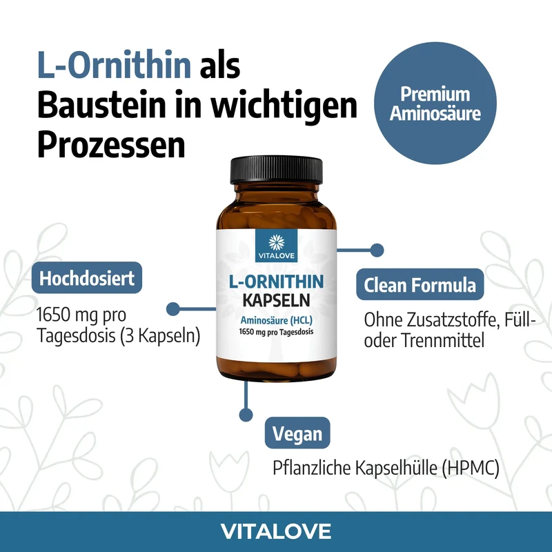L-Ornithin HCL Kapseln – 120 Kapseln