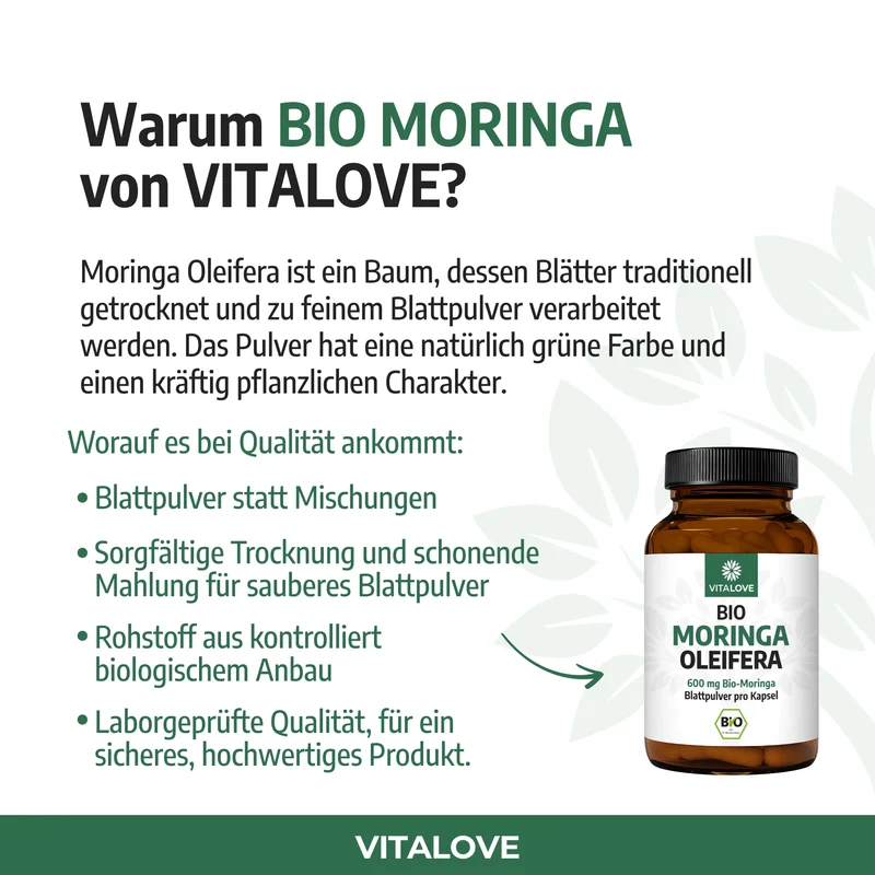 Bio Moringa Oleifera Kapseln – 100 Kapseln